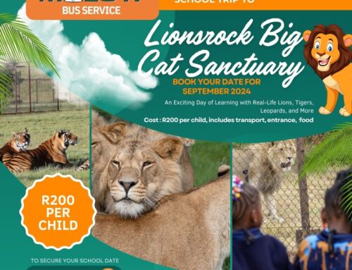 MALUTI BUS SERVICE SCHOOL TRIP TO LIONSROCK BIG CAT SANCTUARY